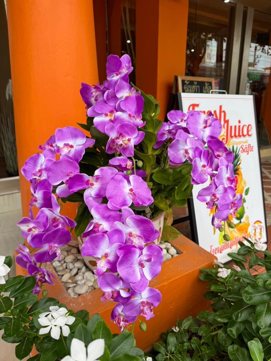 Venice Hotel הואה הין מראה חיצוני תמונה